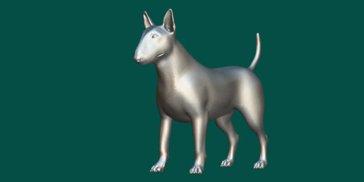 Bull Terrier Dog