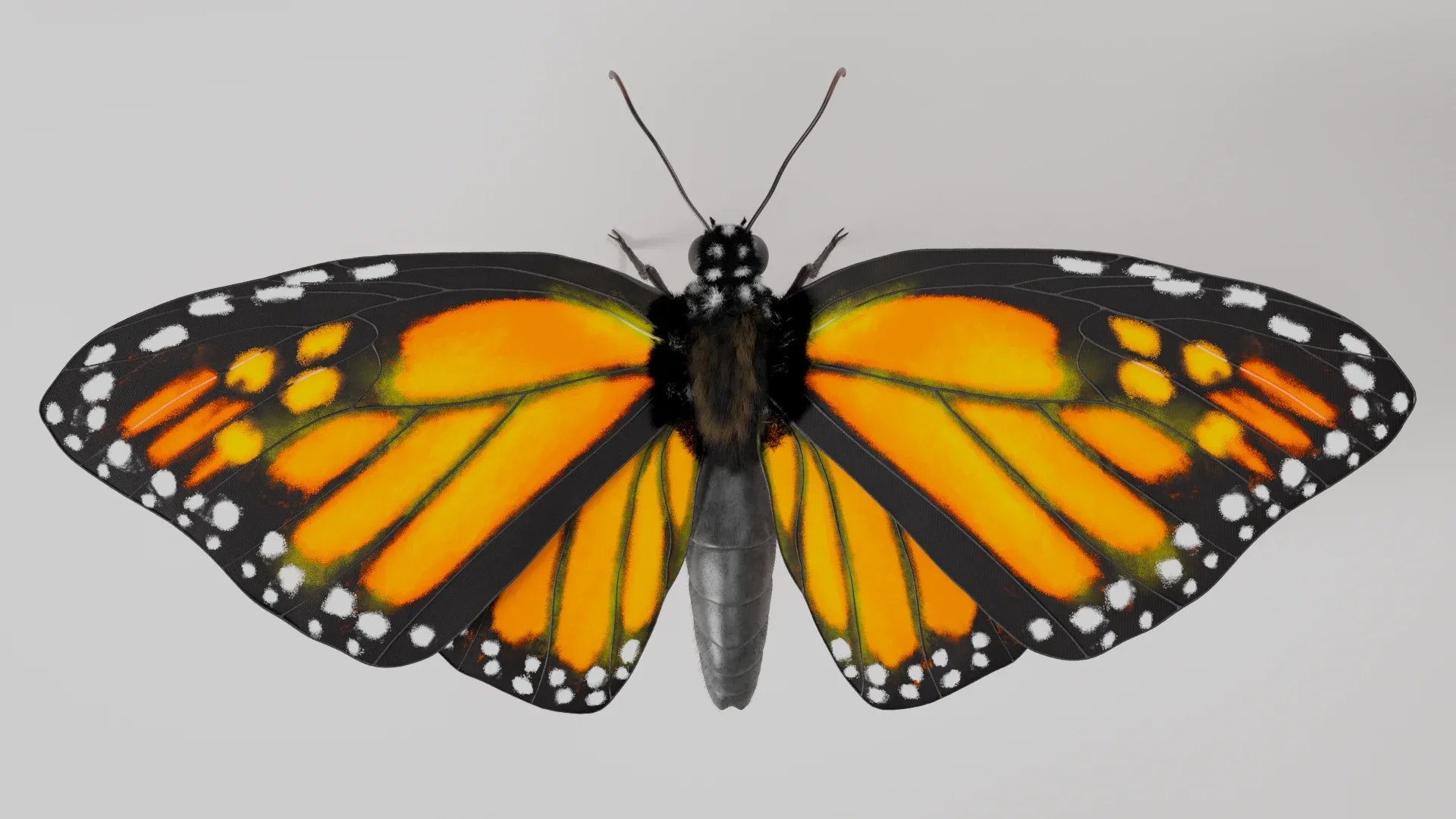 Ultimate Realistic Monarch Butterfly