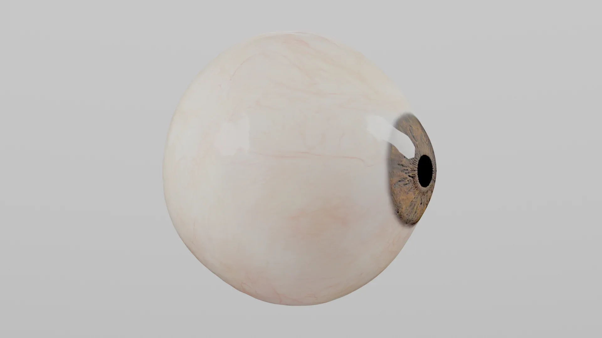 Production-Ready Photorealistic Human Eye - Multicolor - Animated