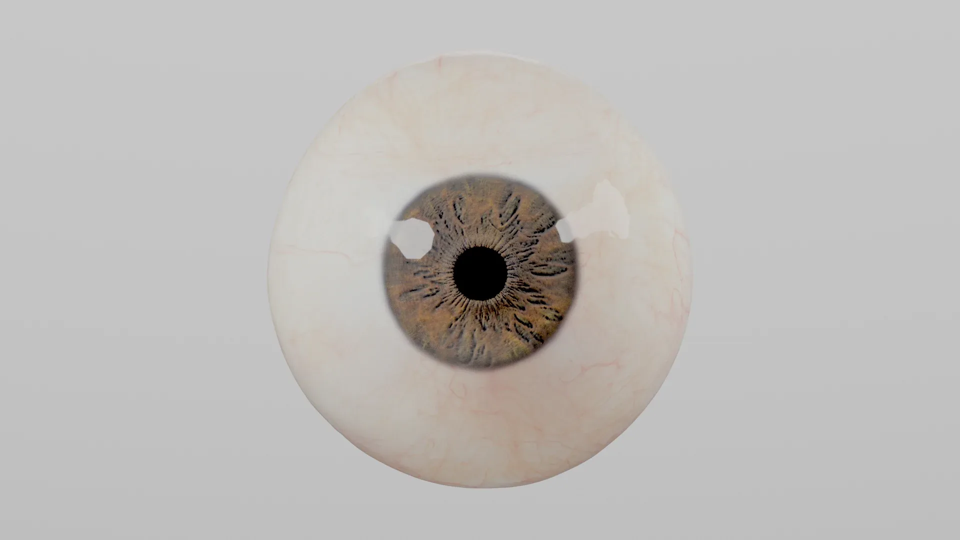 Production-Ready Photorealistic Human Eye - Multicolor - Animated