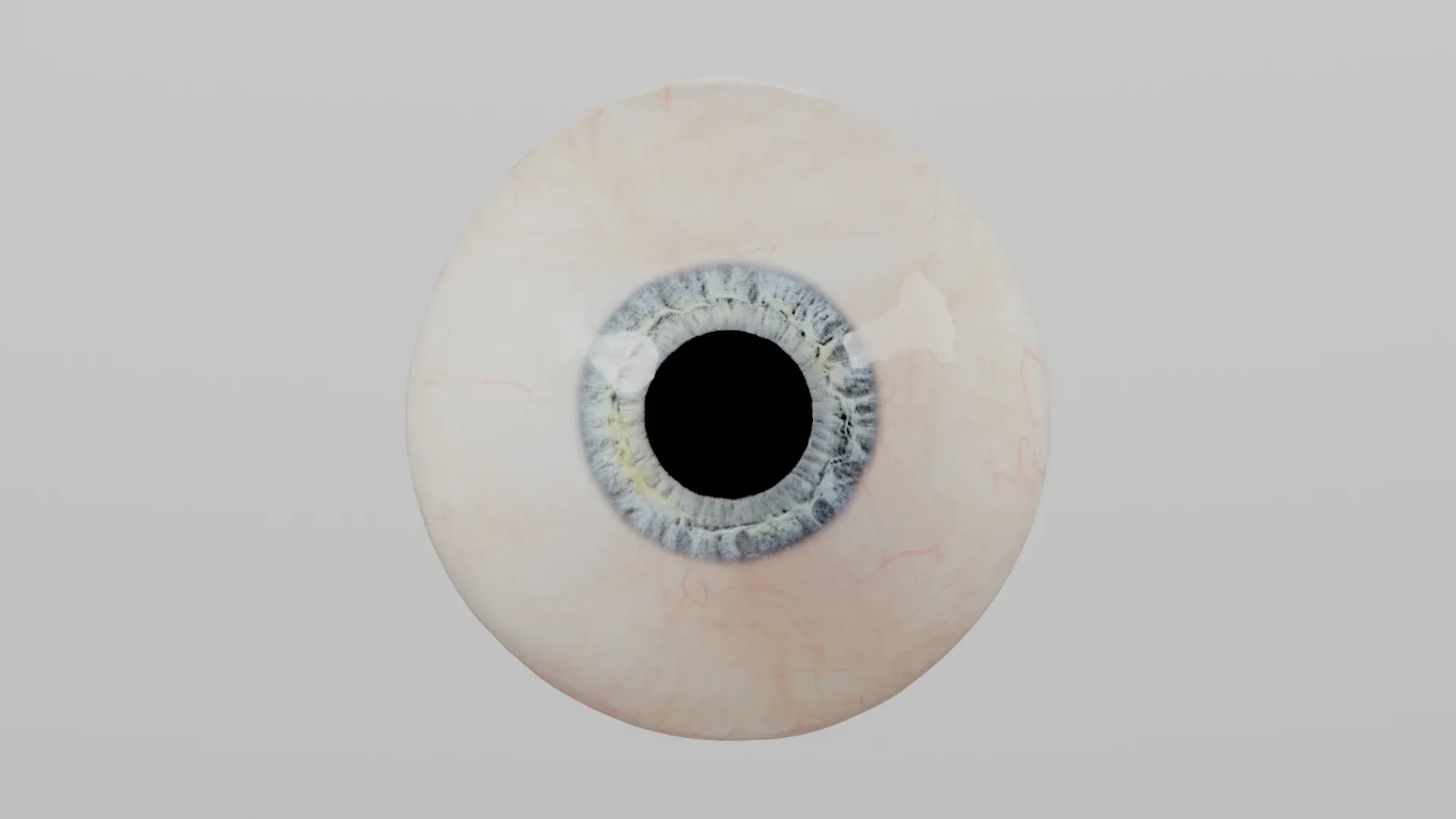 Production-Ready Photorealistic Human Eye - Multicolor - Animated