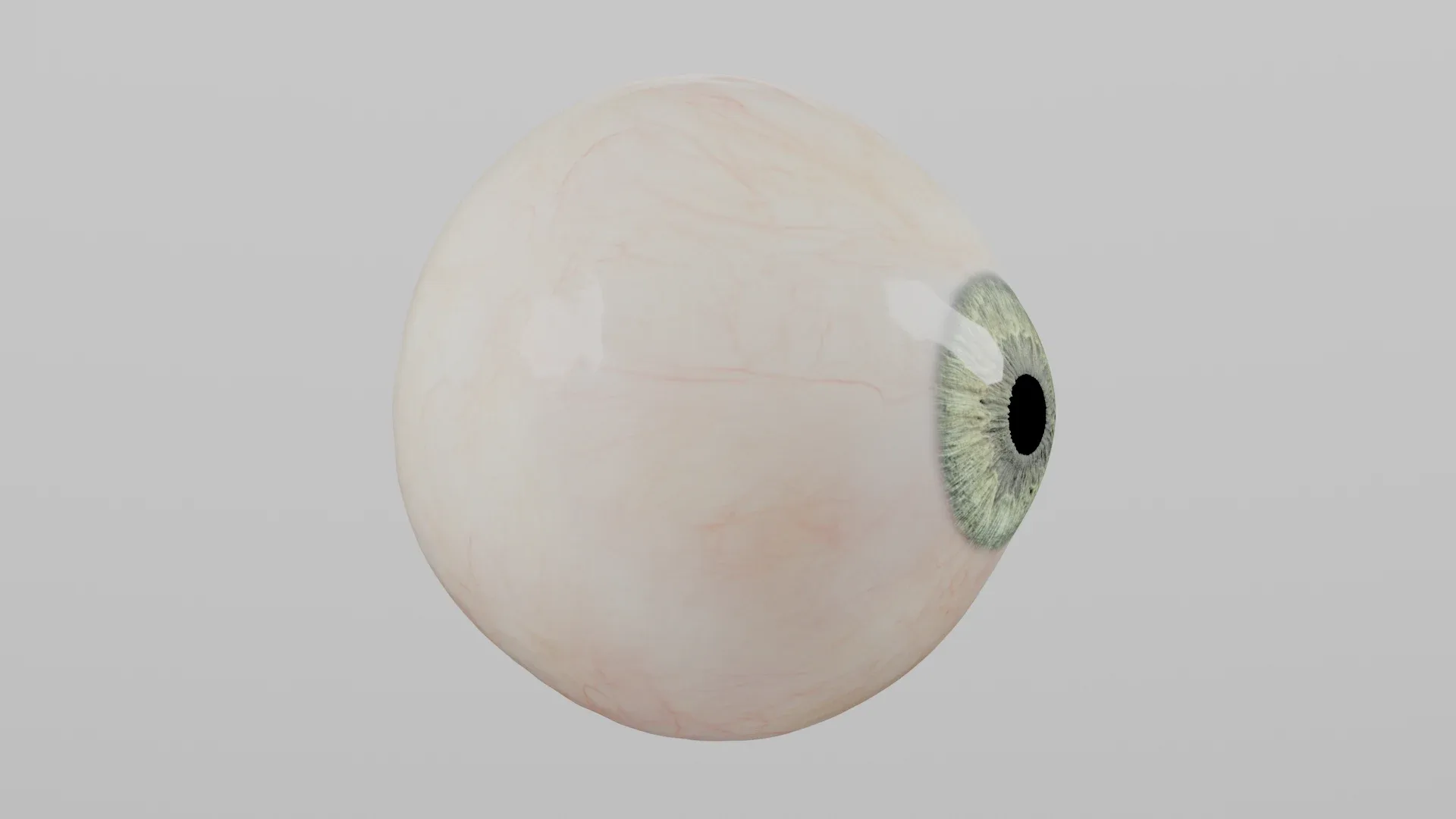 Production-Ready Photorealistic Human Eye - Multicolor - Animated