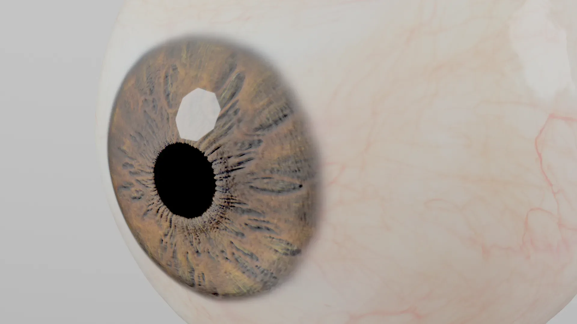 Production-Ready Photorealistic Human Eye - Multicolor - Animated