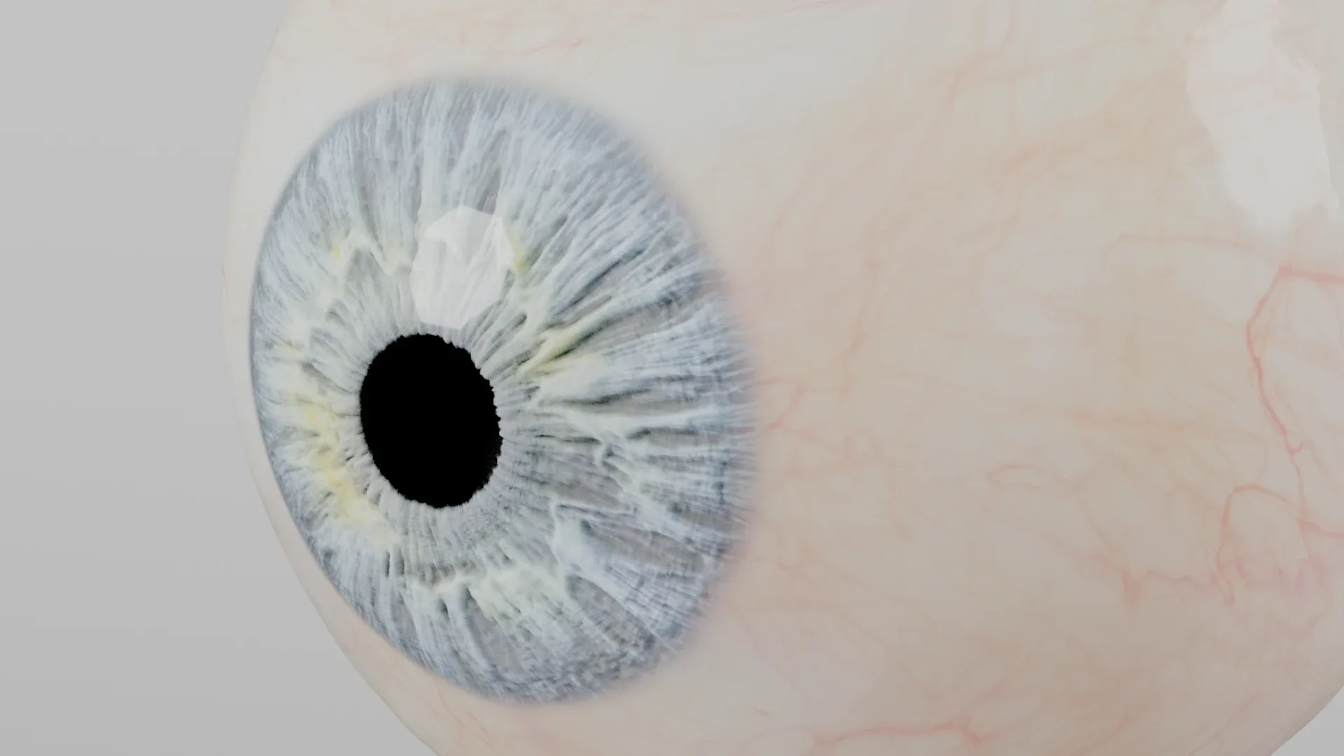 Production-Ready Photorealistic Human Eye - Multicolor - Animated