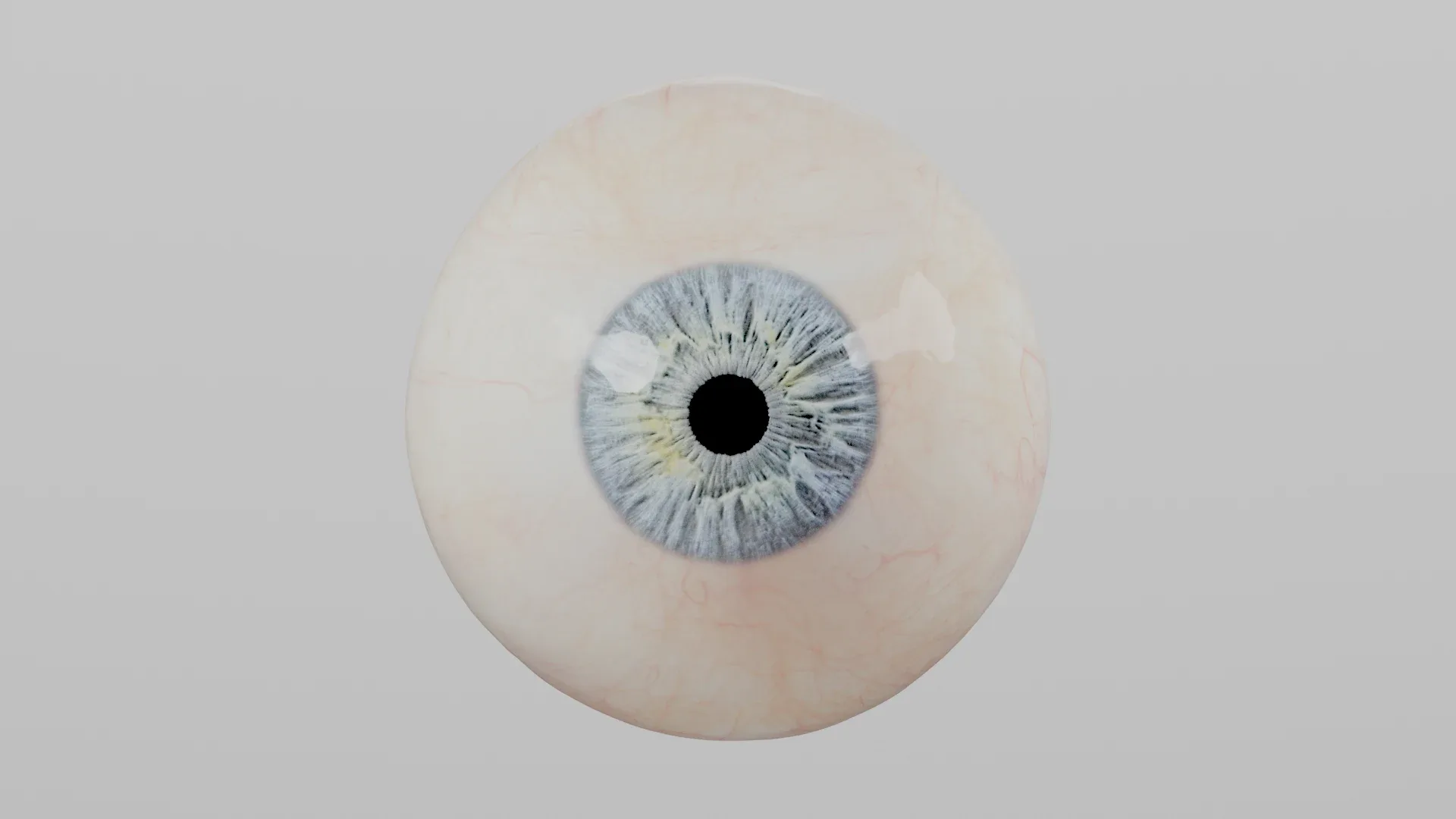 Production-Ready Photorealistic Human Eye - Multicolor - Animated