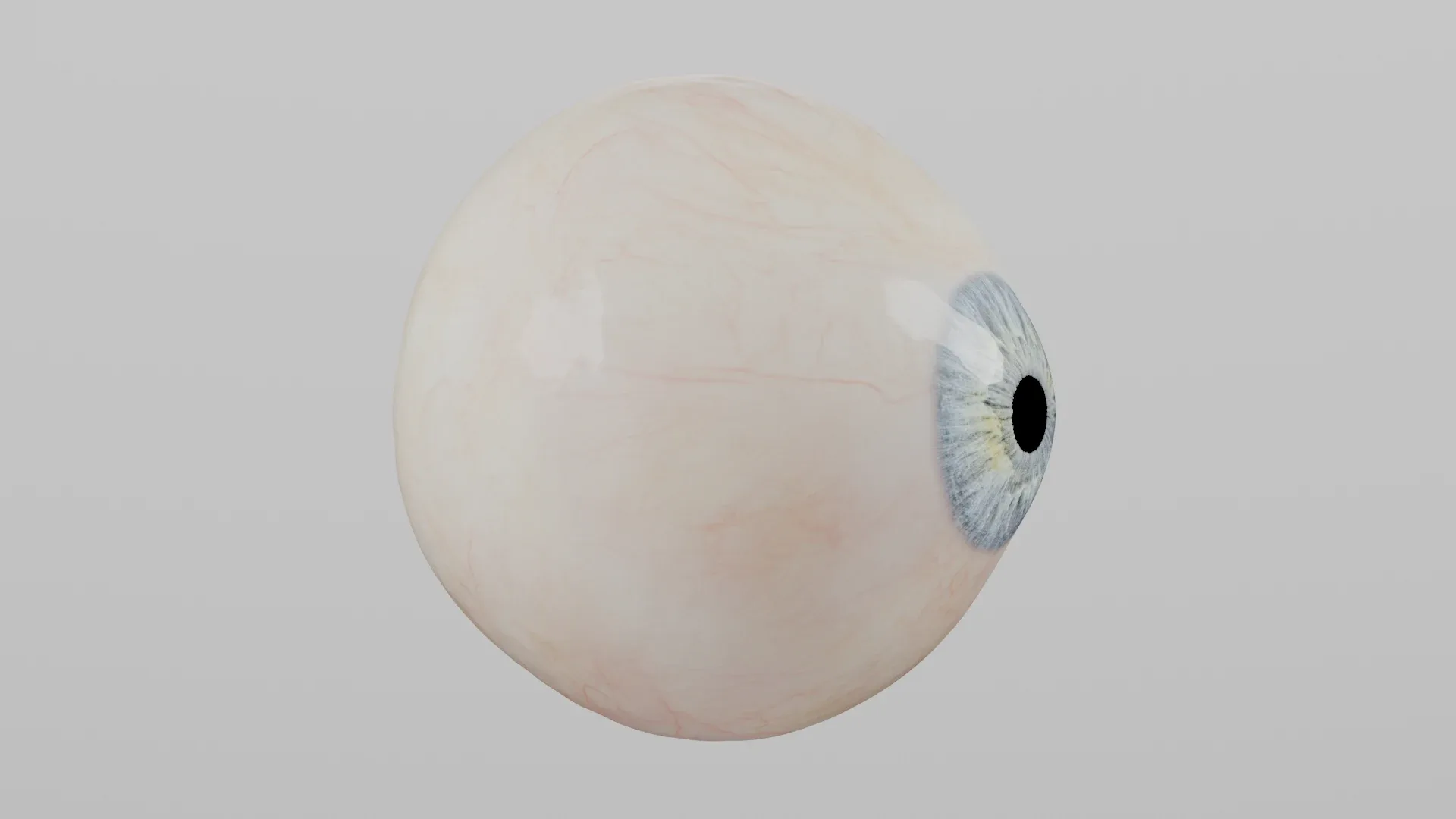 Production-Ready Photorealistic Human Eye - Multicolor - Animated