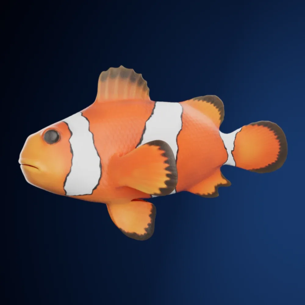 Cute Realistic Animation-Ready Clownfish