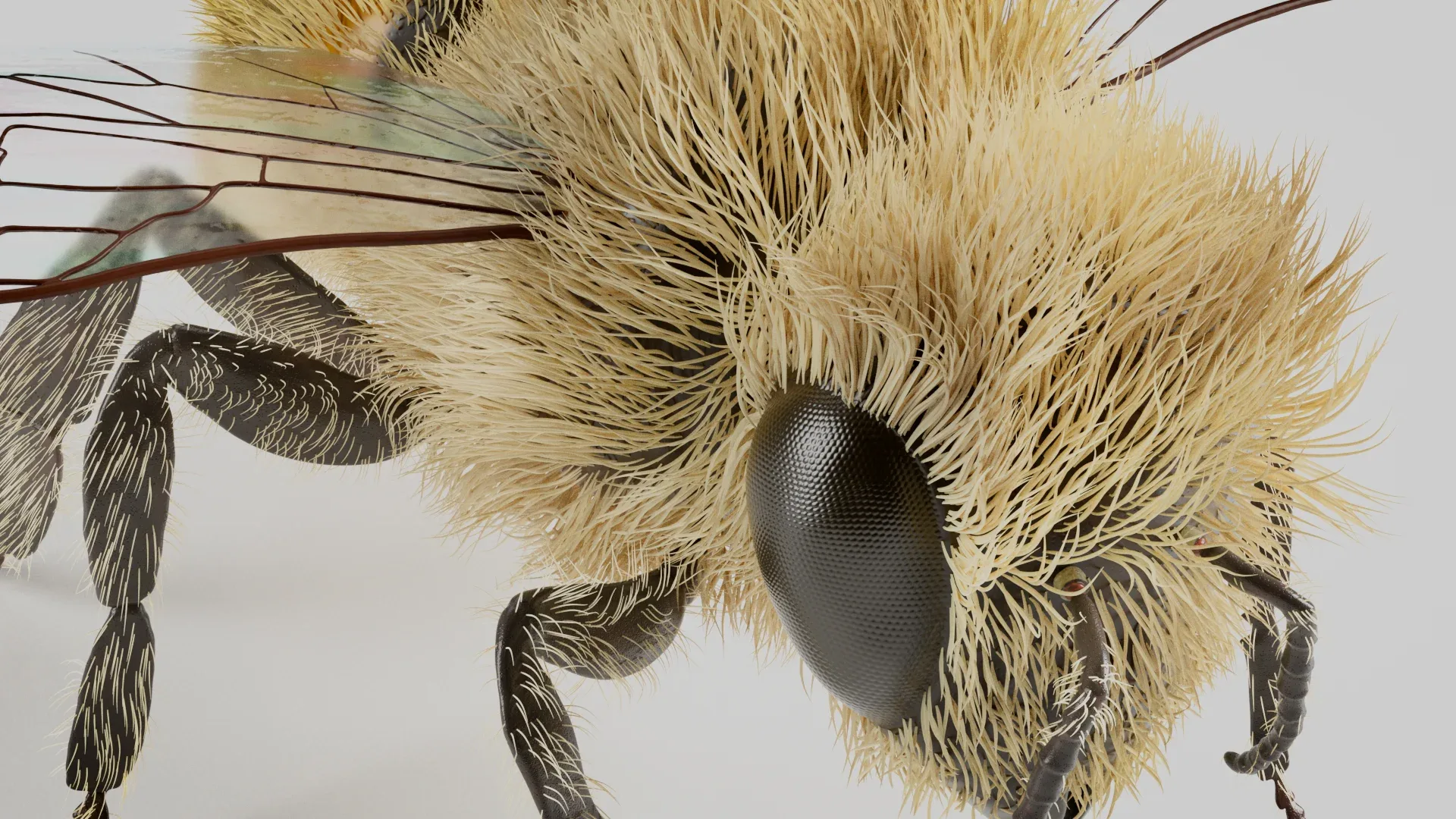 Realistic Honey Bee