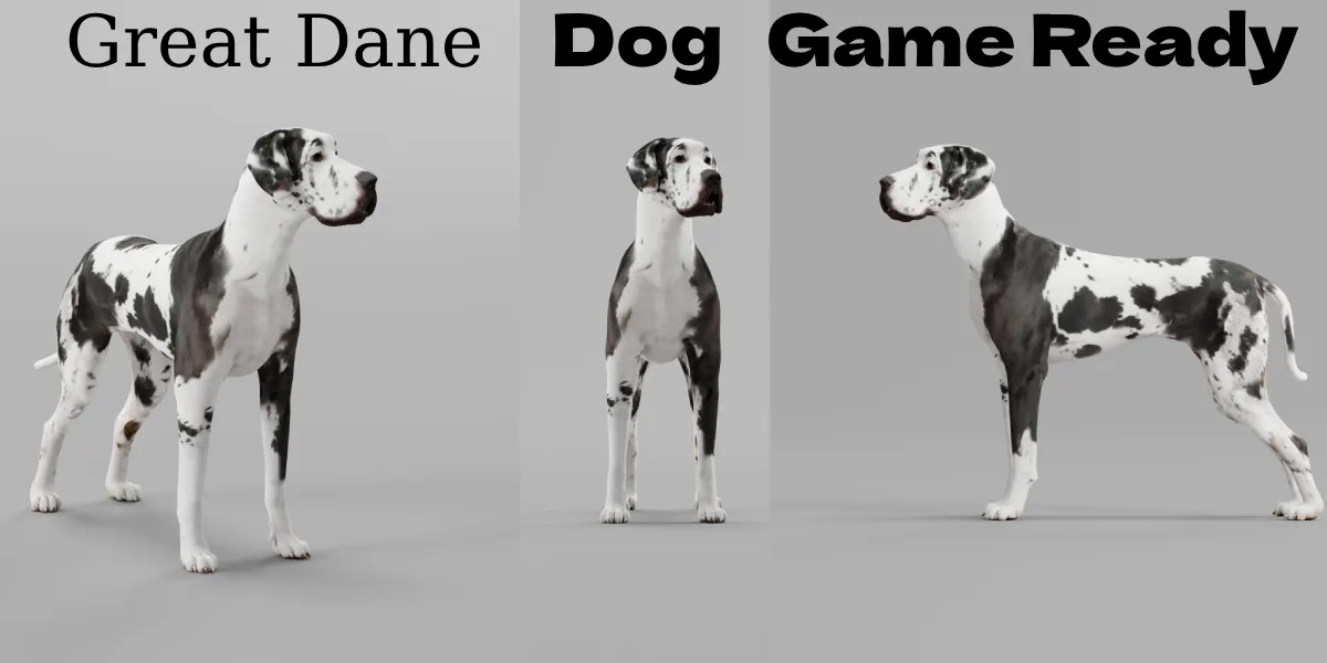 Great Dane Dog