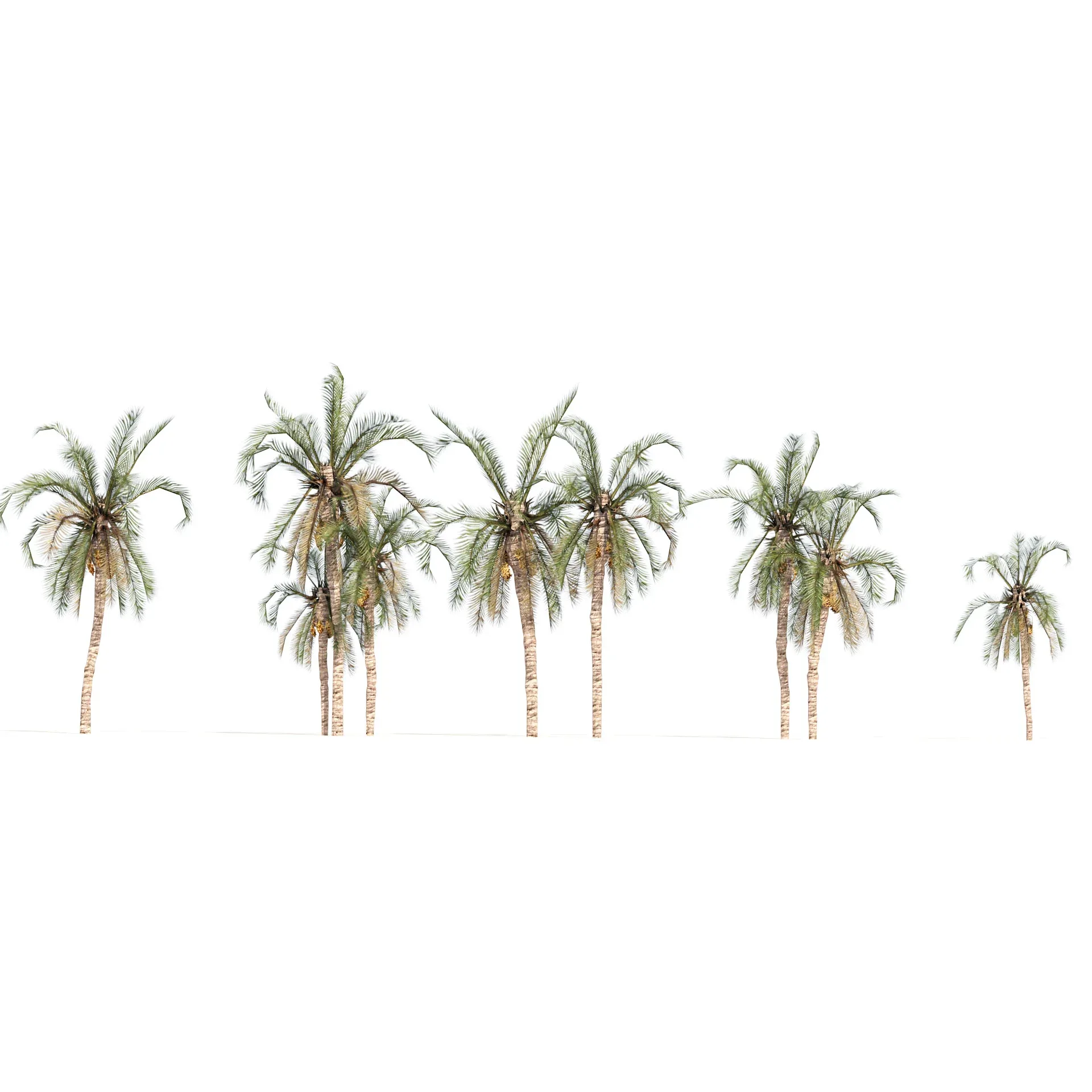 Low Poly Arabic Date palms