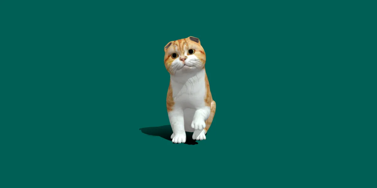 Orange Scottish Fold Cat