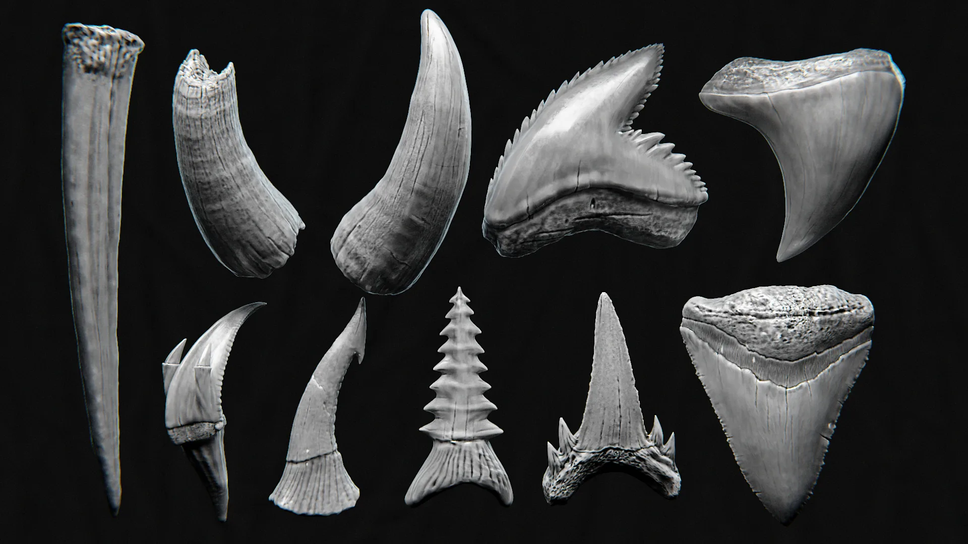 44 TEETH - High Detailed Teeth For Creatures - IMM Zbursh, Blender