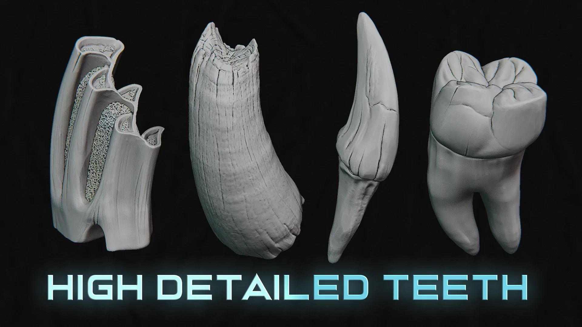 44 TEETH - High Detailed Teeth For Creatures - IMM Zbursh, Blender