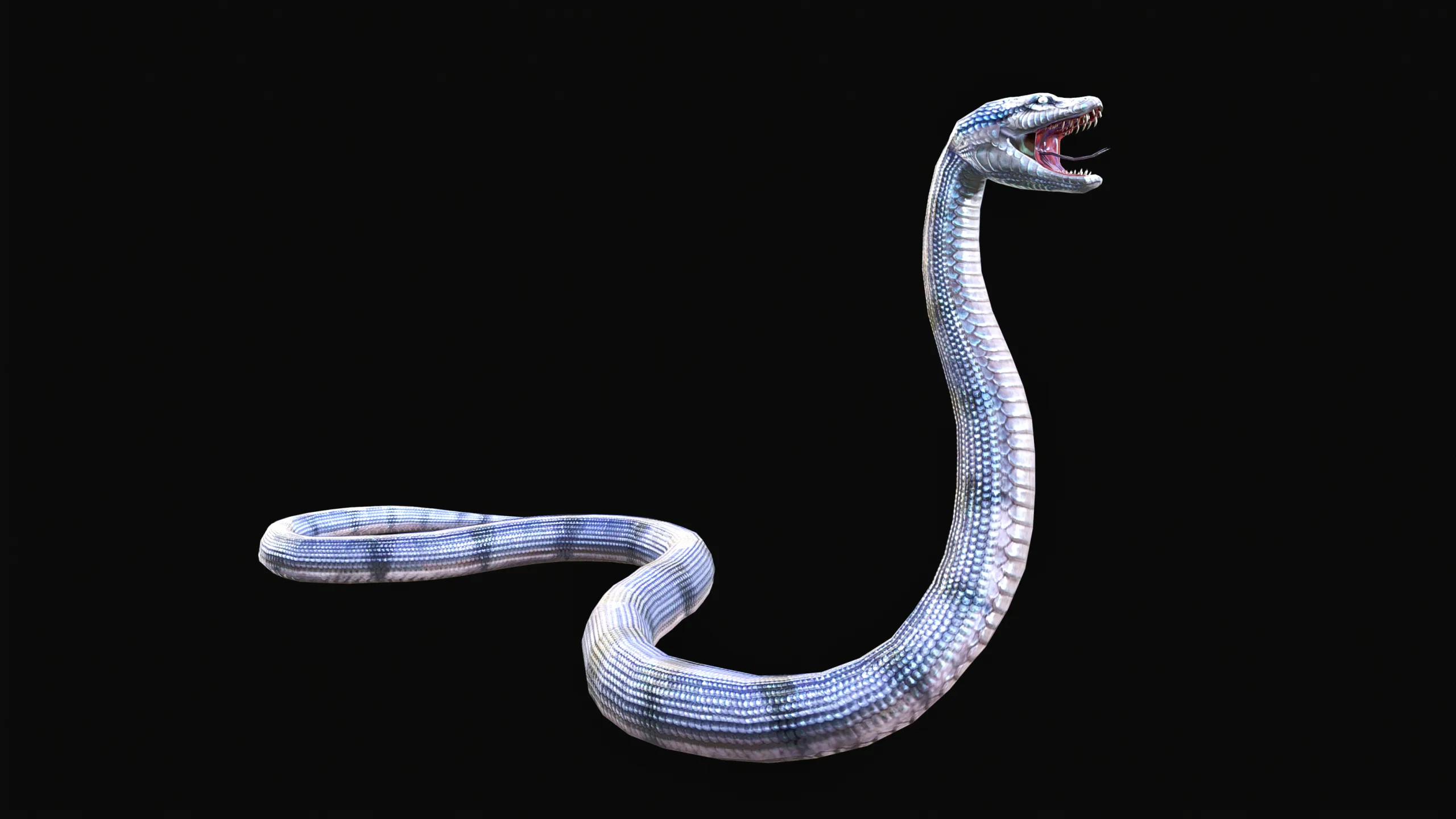 Low Poly Anaconda 3D Animal - Ready for Games (19 Animations)