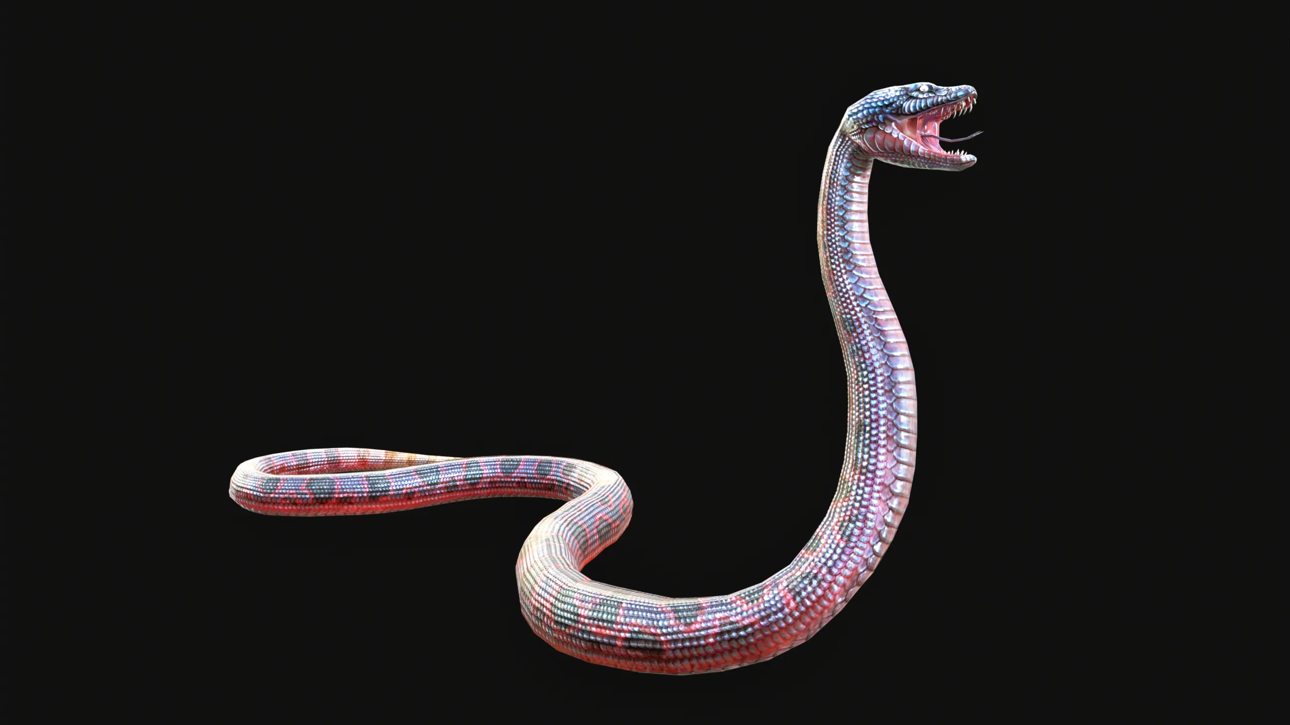 Low Poly Anaconda 3D Animal - Ready for Games (19 Animations)