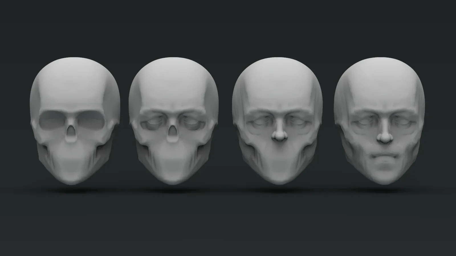 Human Heads Basemesh Pack