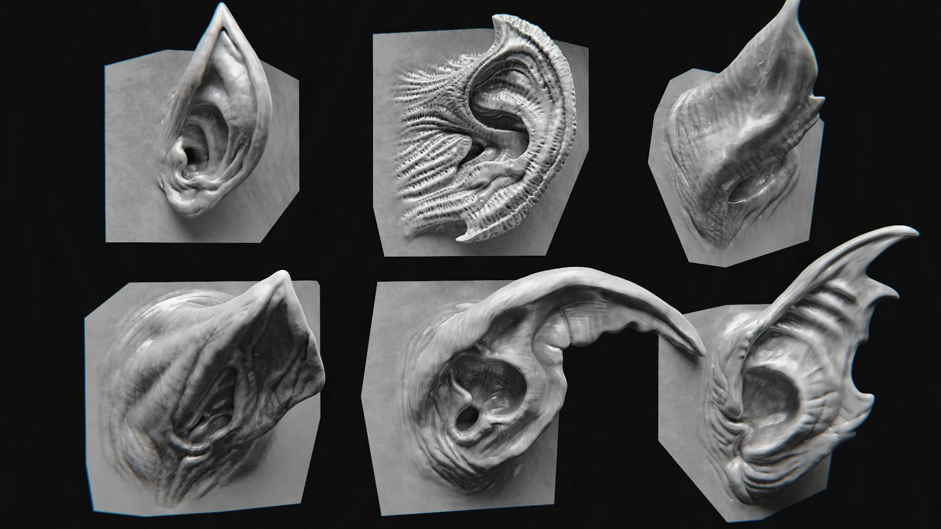 44 Ears - High Detailed Ears For Creatures - VDM Zbursh, Blender +BONUS