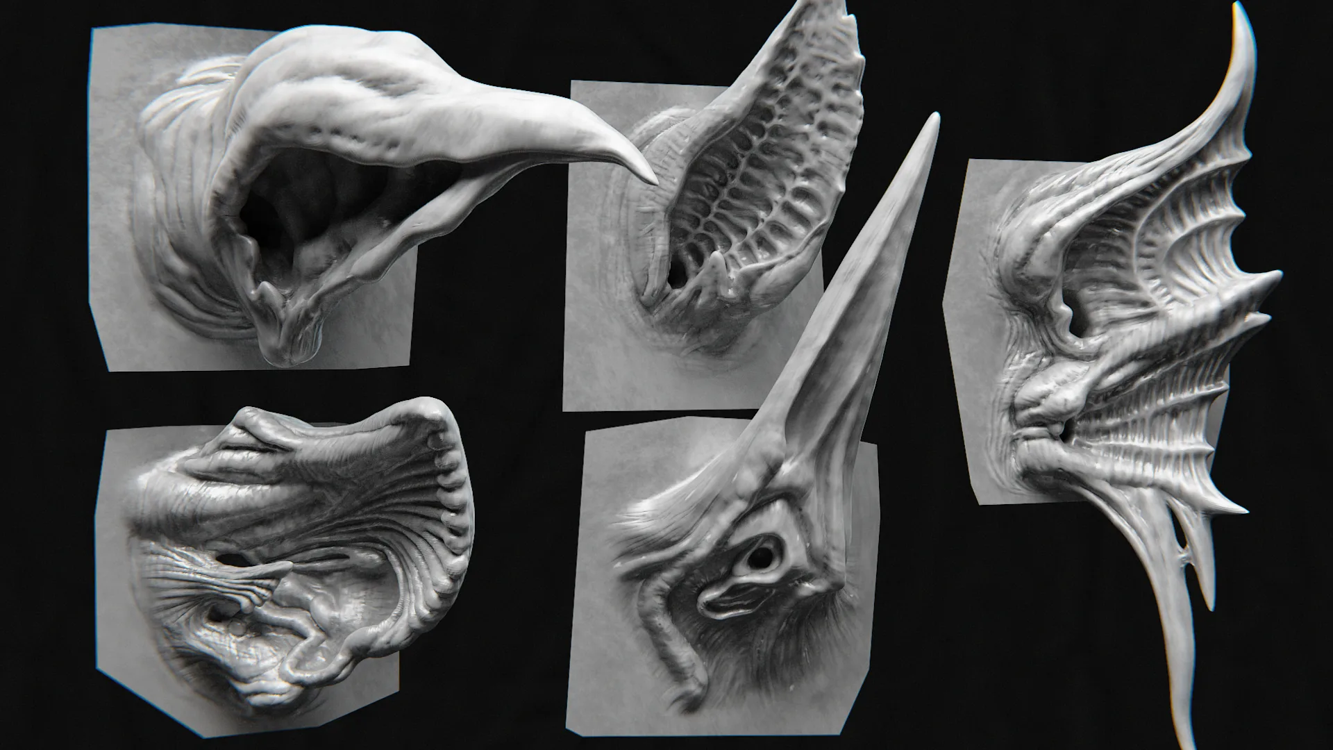 44 Ears - High Detailed Ears For Creatures - VDM Zbursh, Blender +BONUS