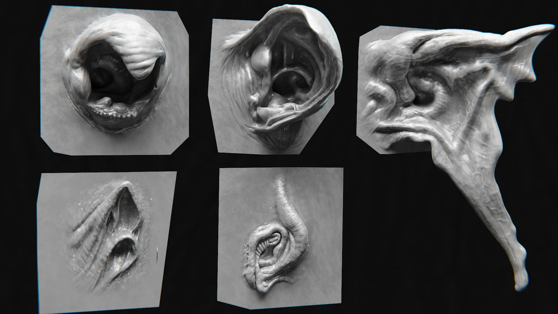 44 Ears - High Detailed Ears For Creatures - VDM Zbursh, Blender +BONUS