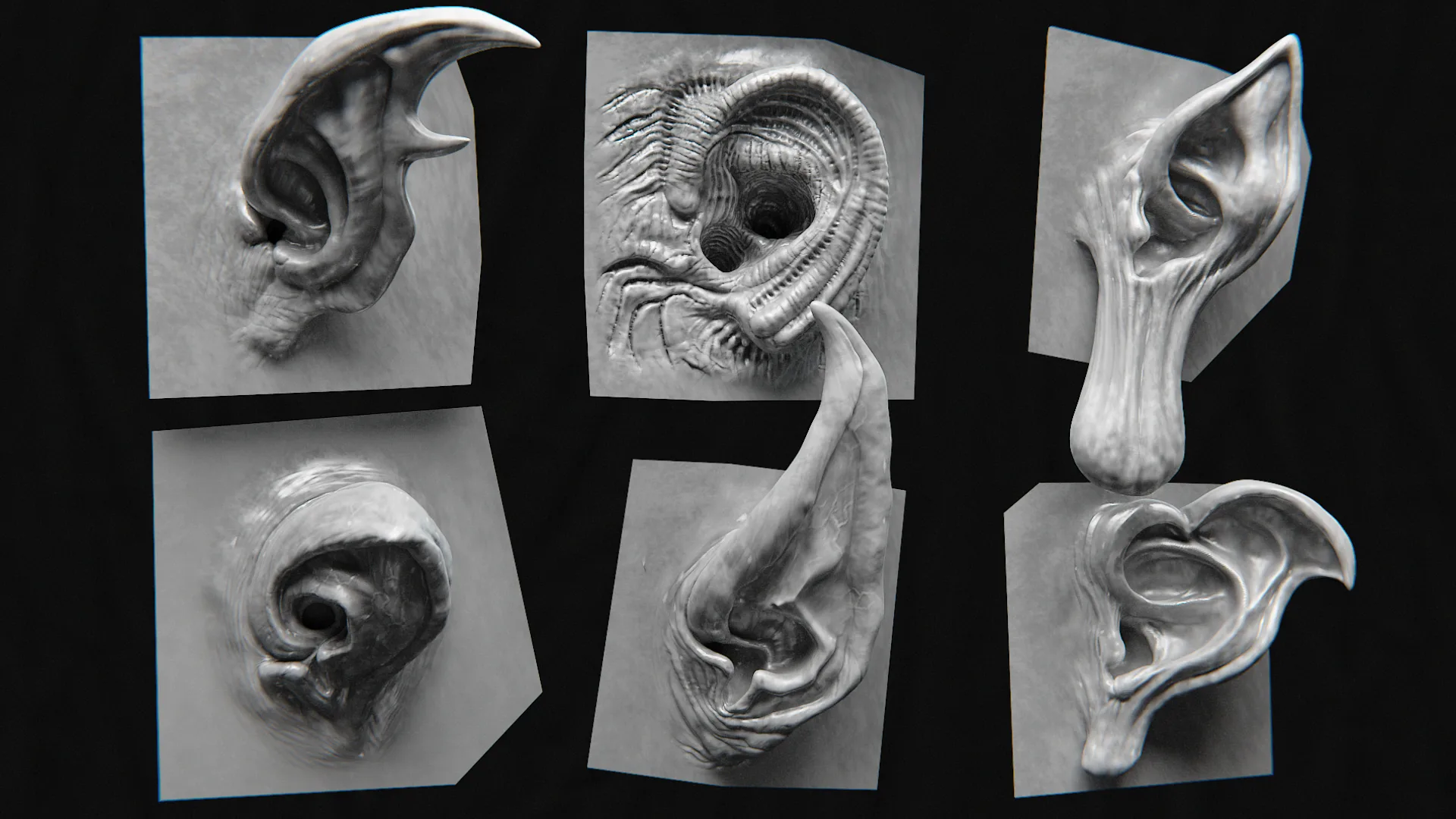 44 Ears - High Detailed Ears For Creatures - VDM Zbursh, Blender +BONUS