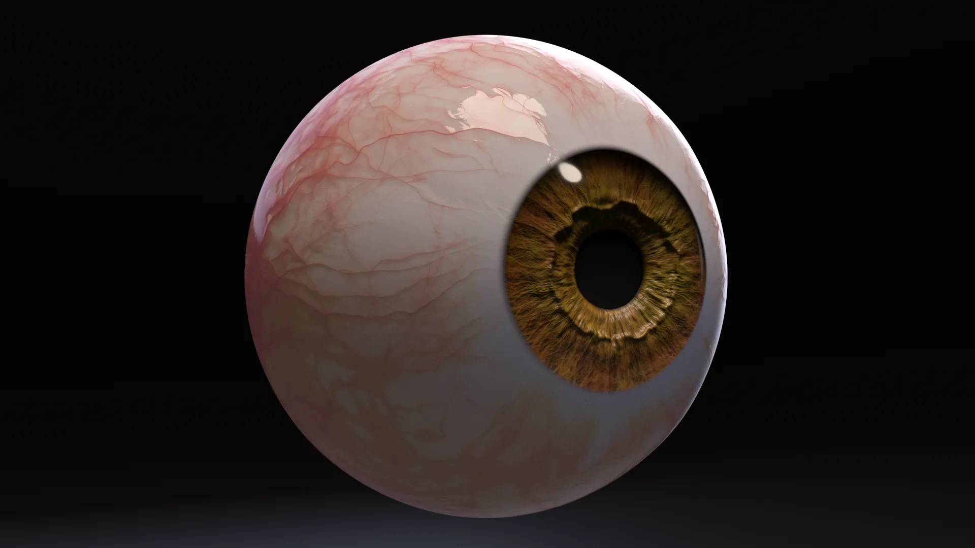 Photorealistic Eye with Pupil Dilation and Constriction 2.0