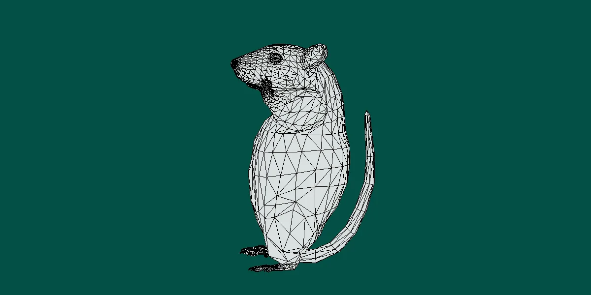 Common Rat