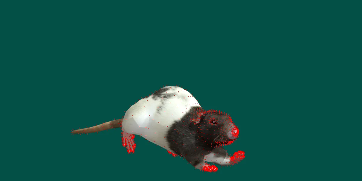 Common Rat