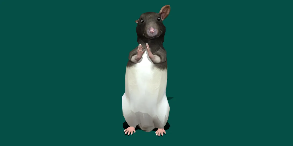 Common Rat