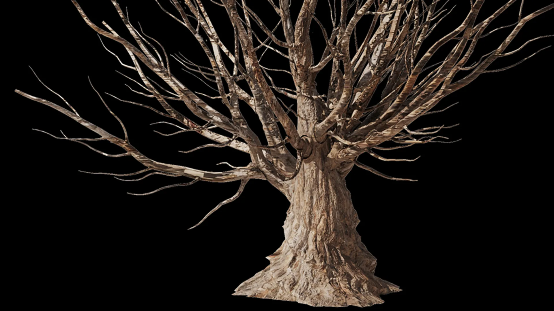 Olive Tree Set4 (2 diffrent trees+13 diffirent format Files) (3DsMax+FBX+STL+OBJ+TEXTURES)