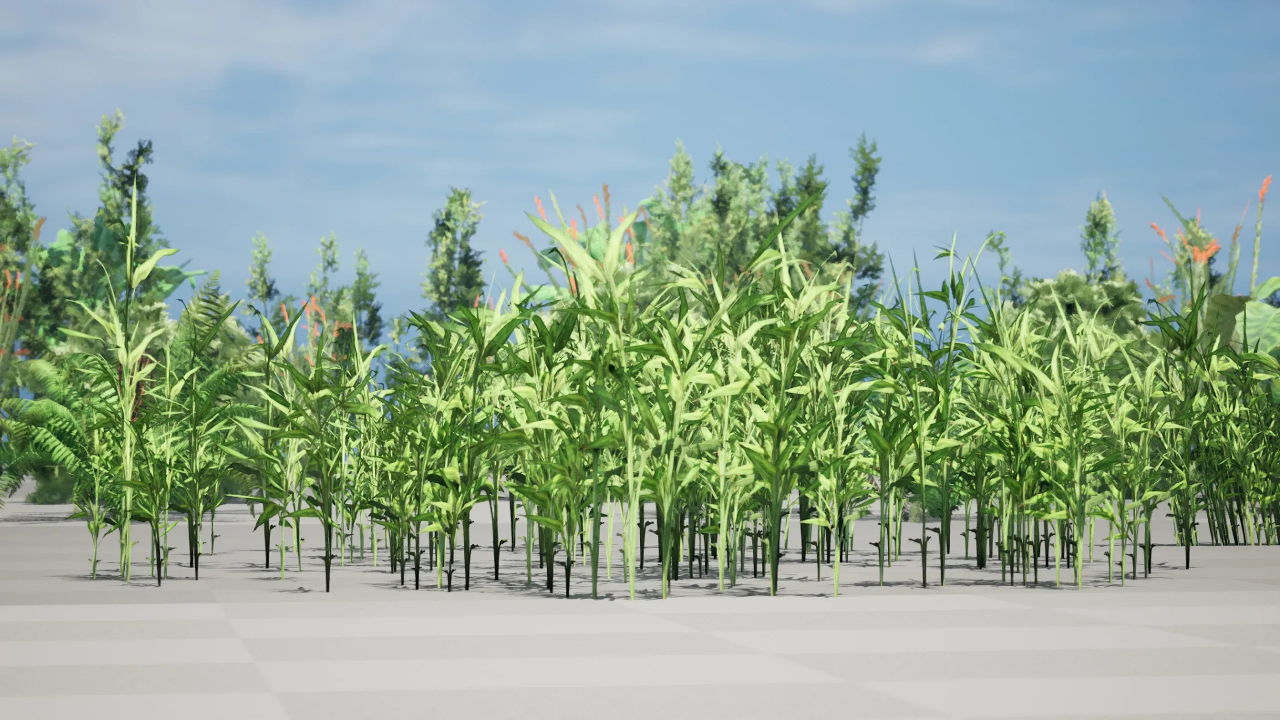 Low poly Plants Pack