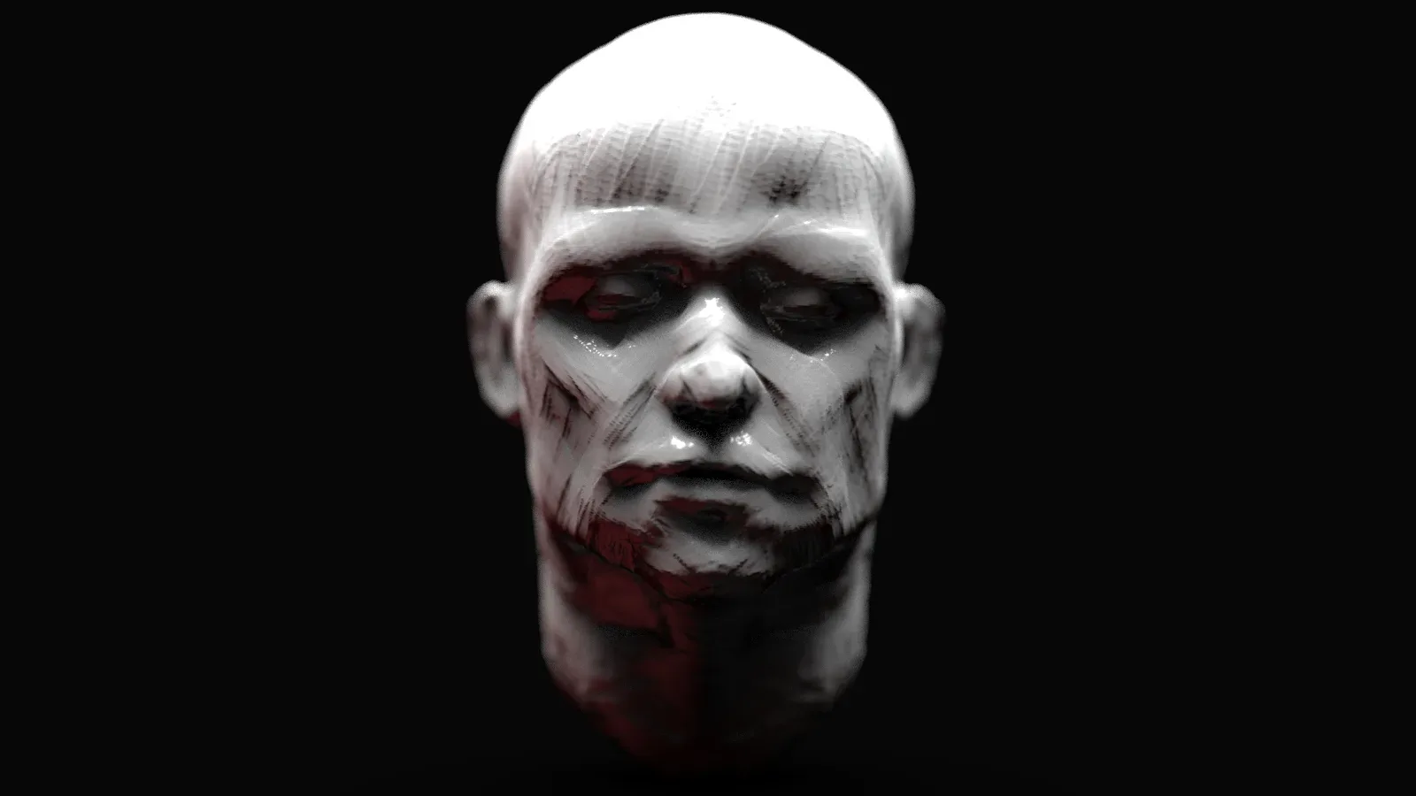 Head Sculpt - Anatomy Study