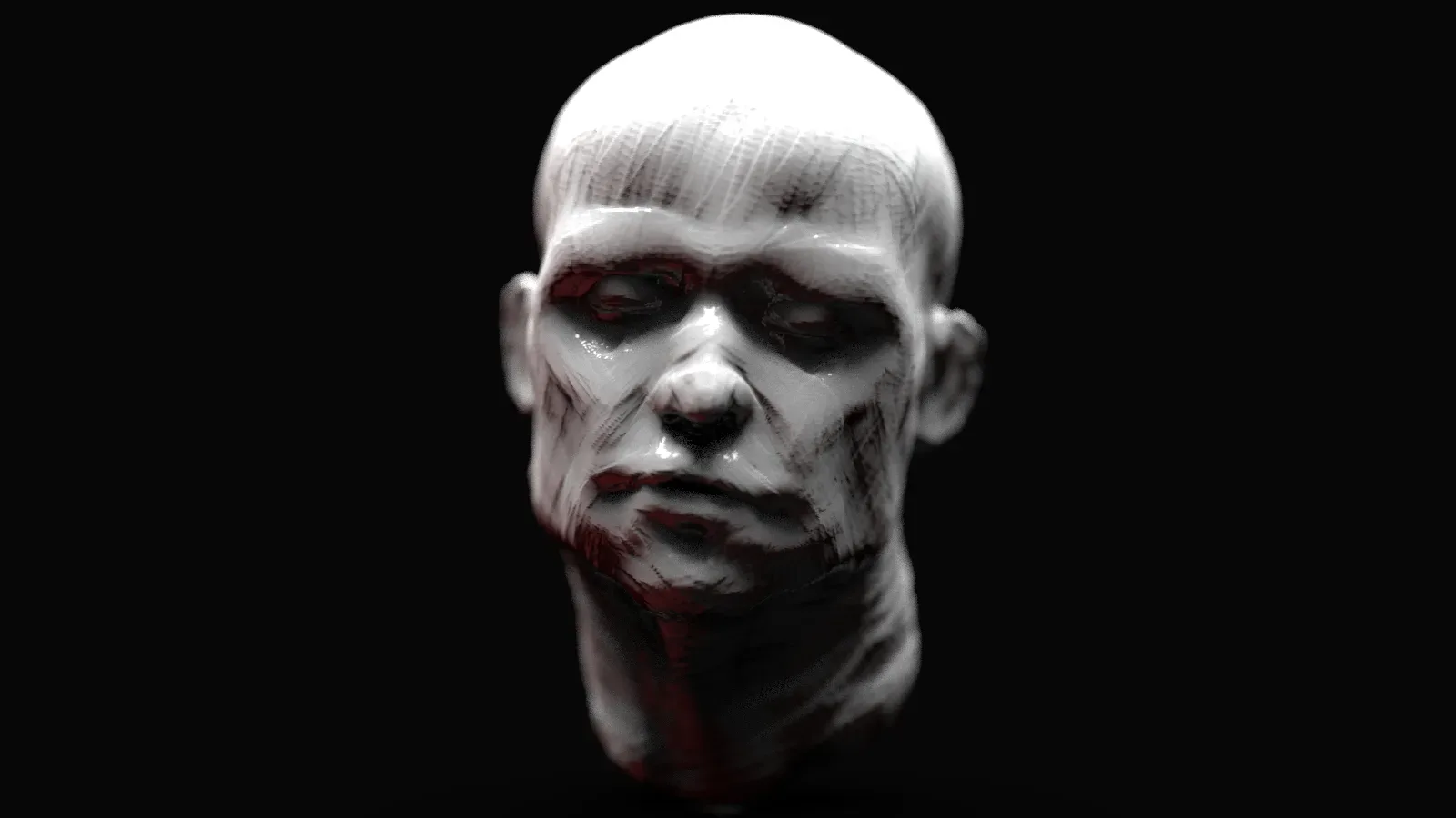 Head Sculpt - Anatomy Study