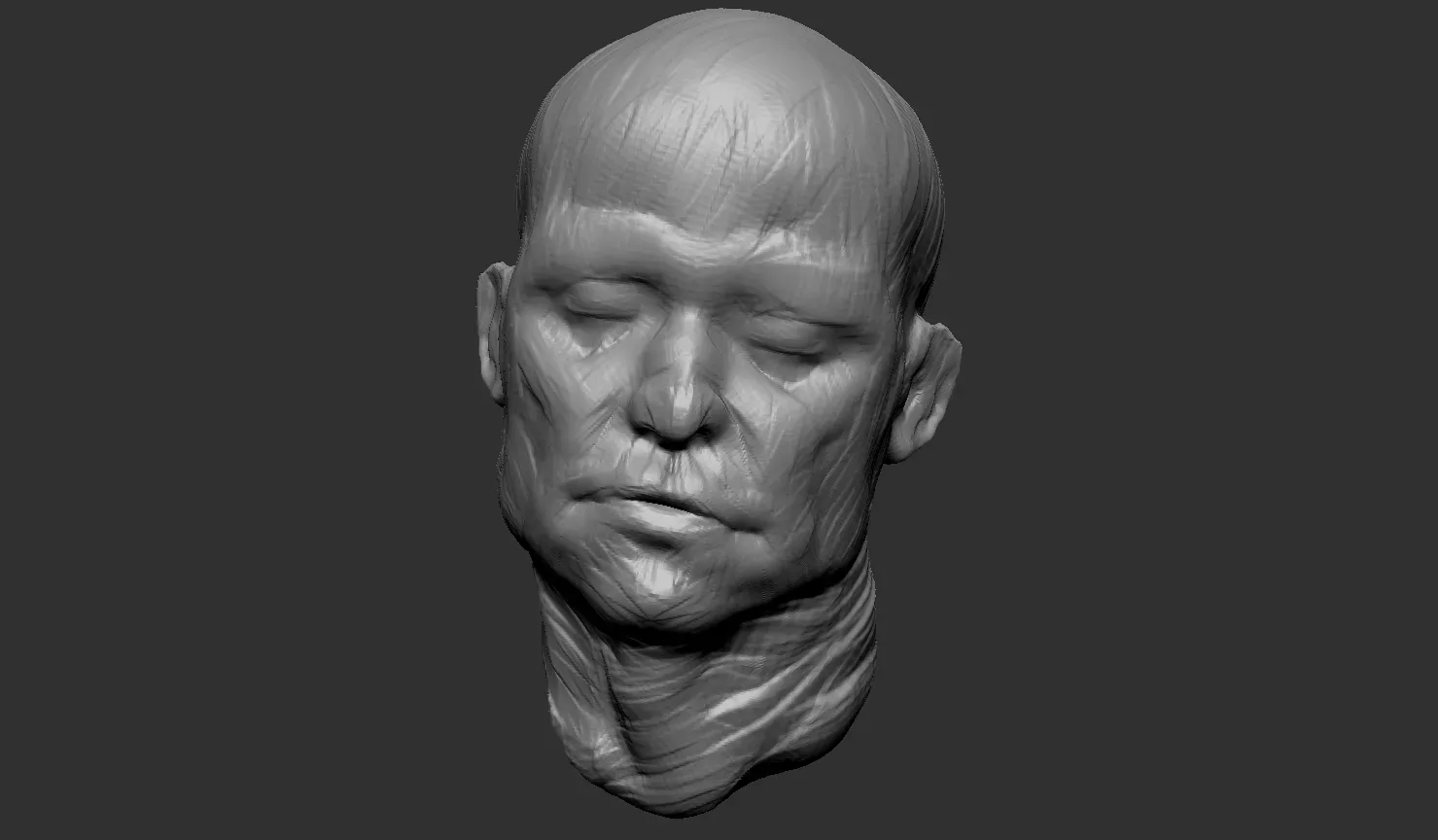 Head Sculpt - Anatomy Study