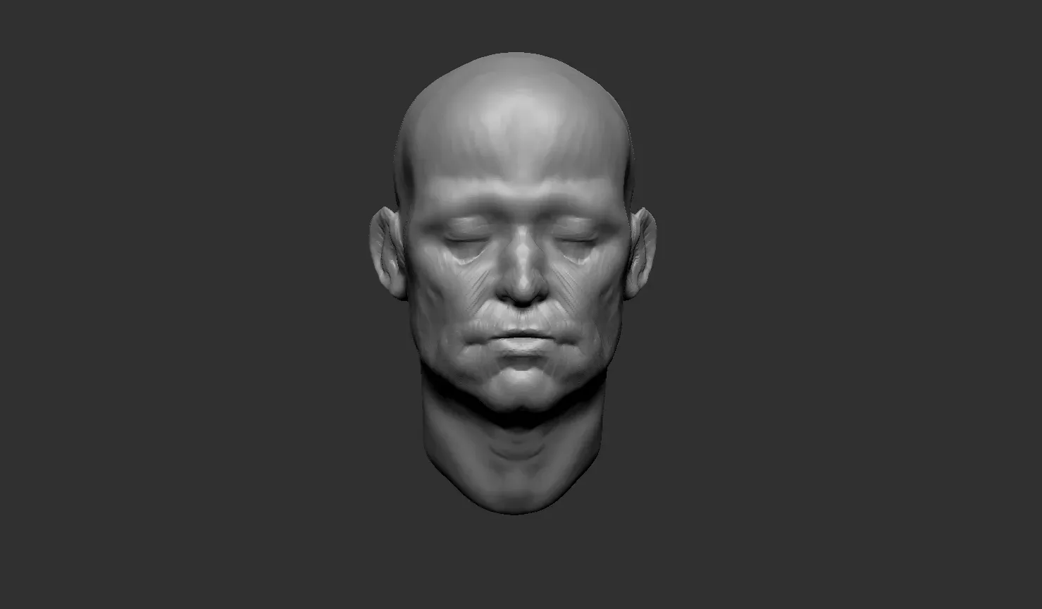 Head Sculpt - Anatomy Study