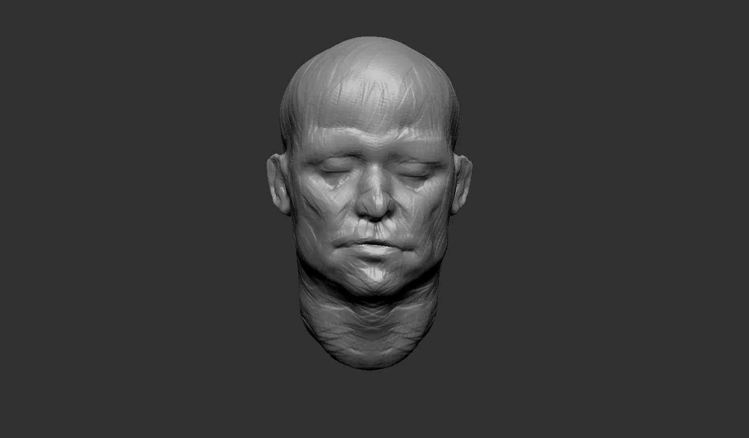 Head Sculpt - Anatomy Study