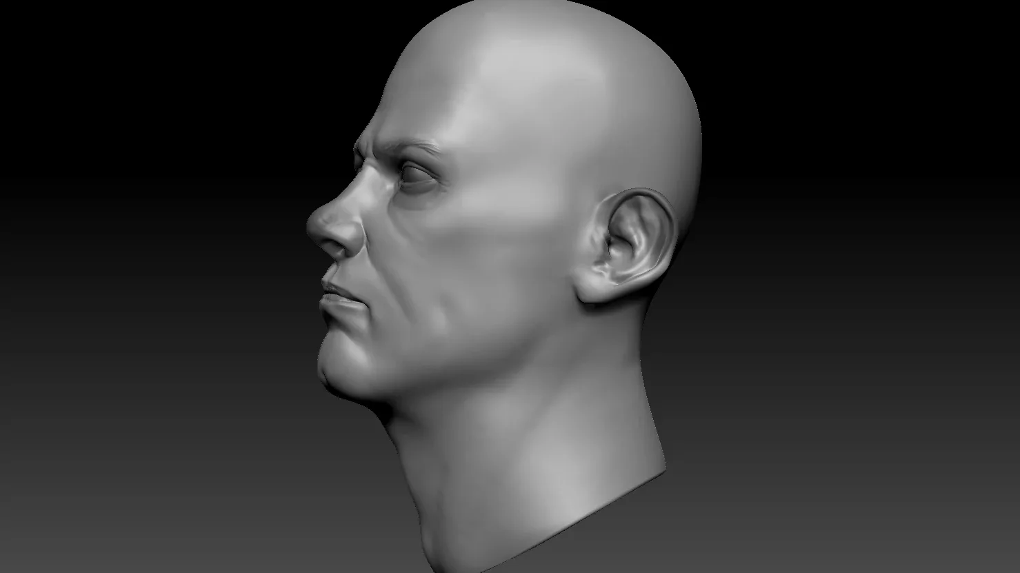 Head Sculpt #2 - Anatomy Study