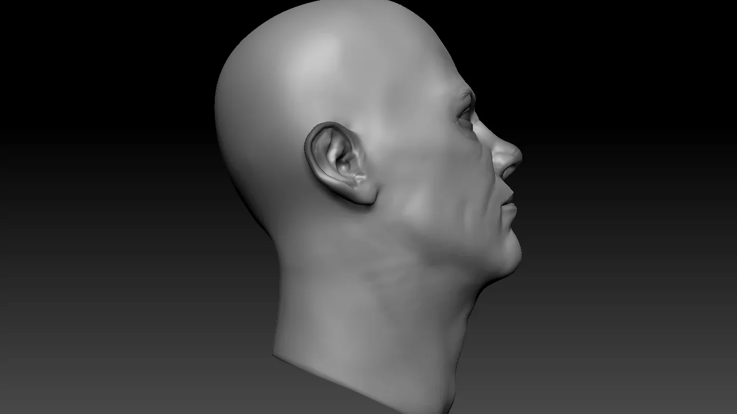 Head Sculpt #2 - Anatomy Study