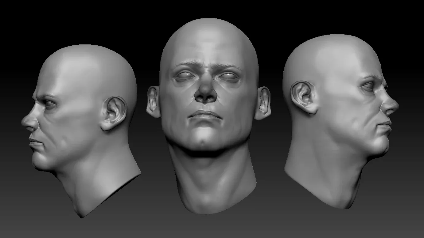 Head Sculpt 2 Anatomy Study FlippedNormals