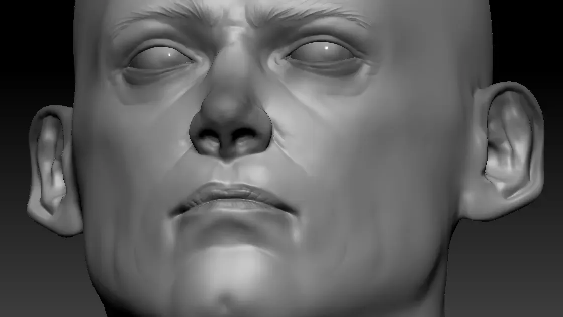 Head Sculpt #2 - Anatomy Study