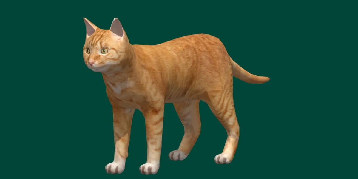 Ginger Cat