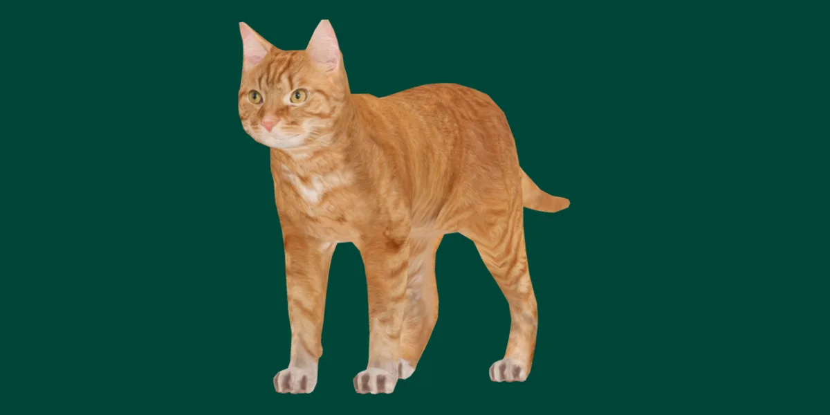 Ginger Cat