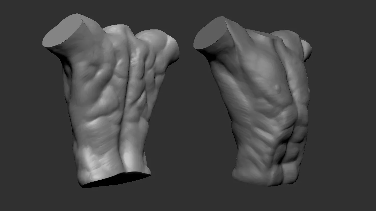 Male torso