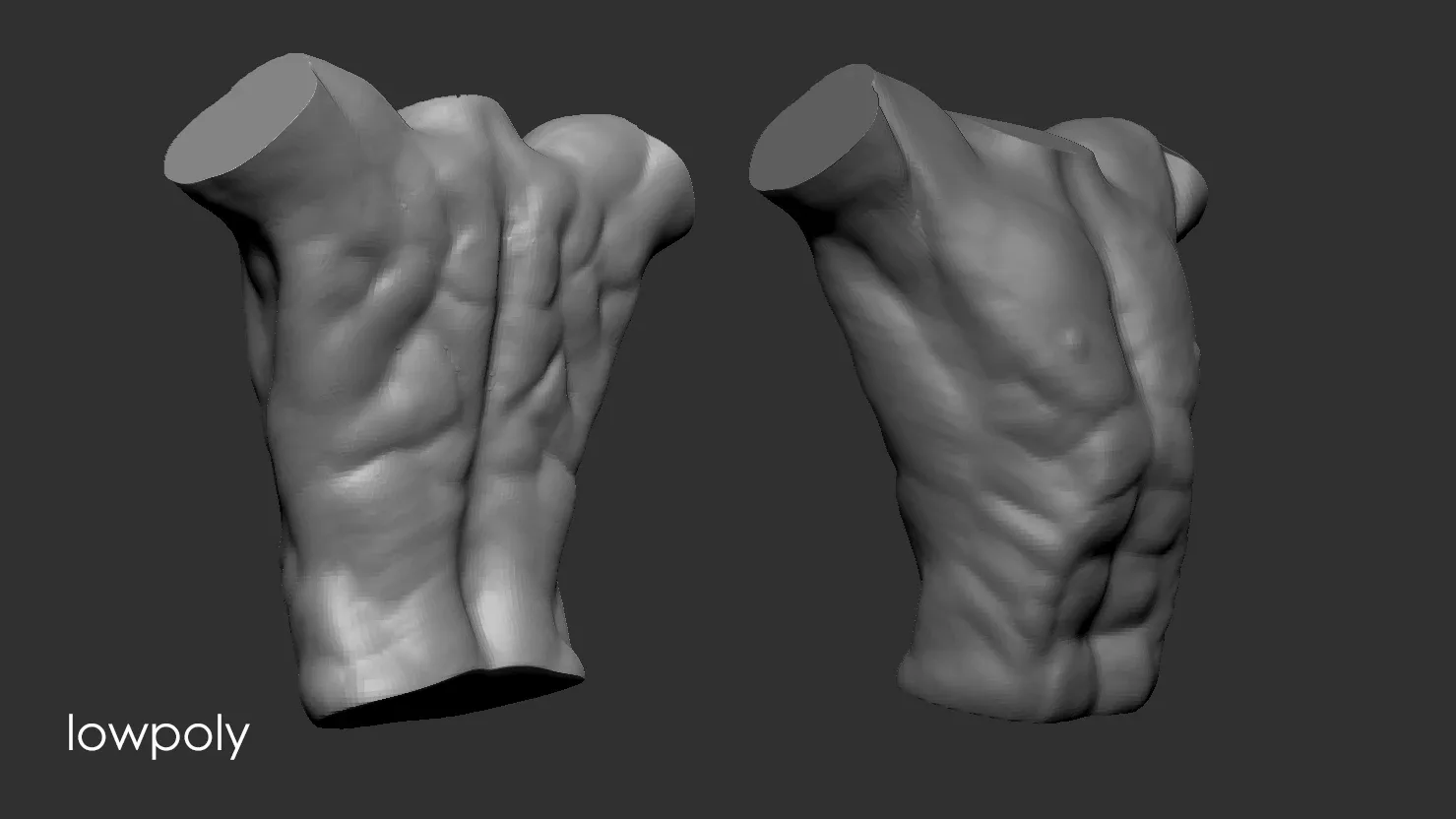 Male torso