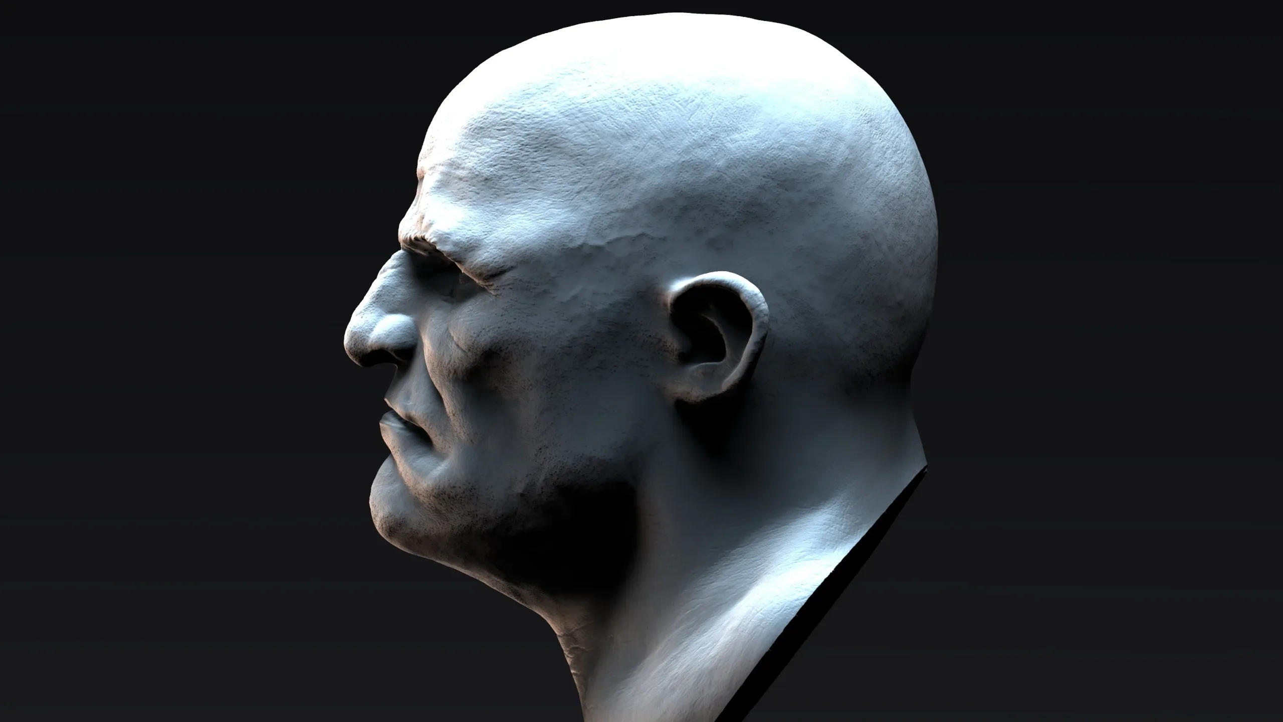 Stylized Male Head Bust