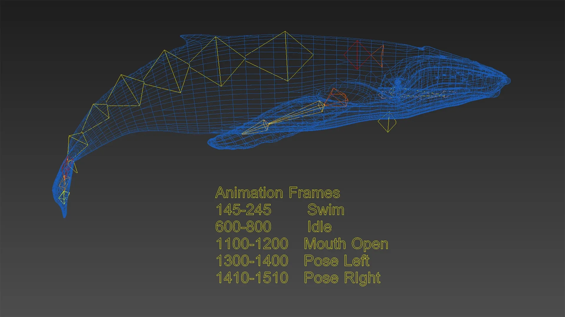 Humpback Whale - Unreal + Unity + 3DS Max