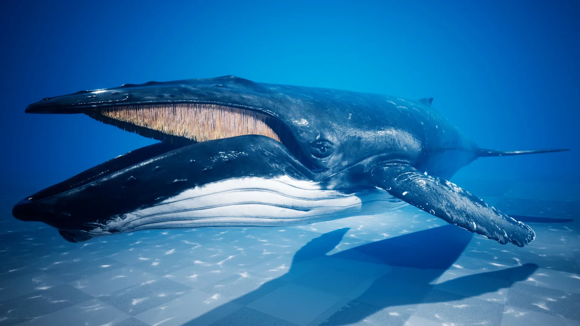 Humpback Whale - Unreal + Unity + 3DS Max
