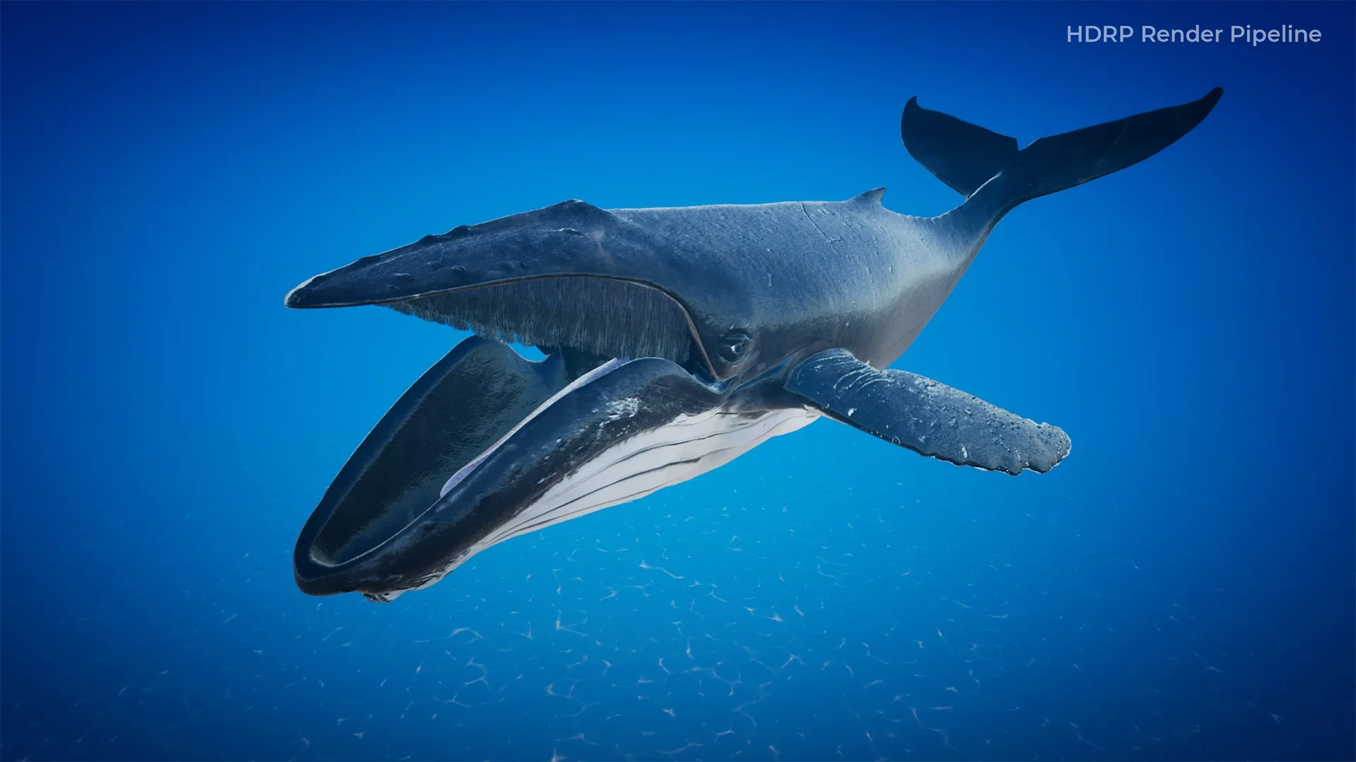 Humpback Whale - Unreal + Unity + 3DS Max