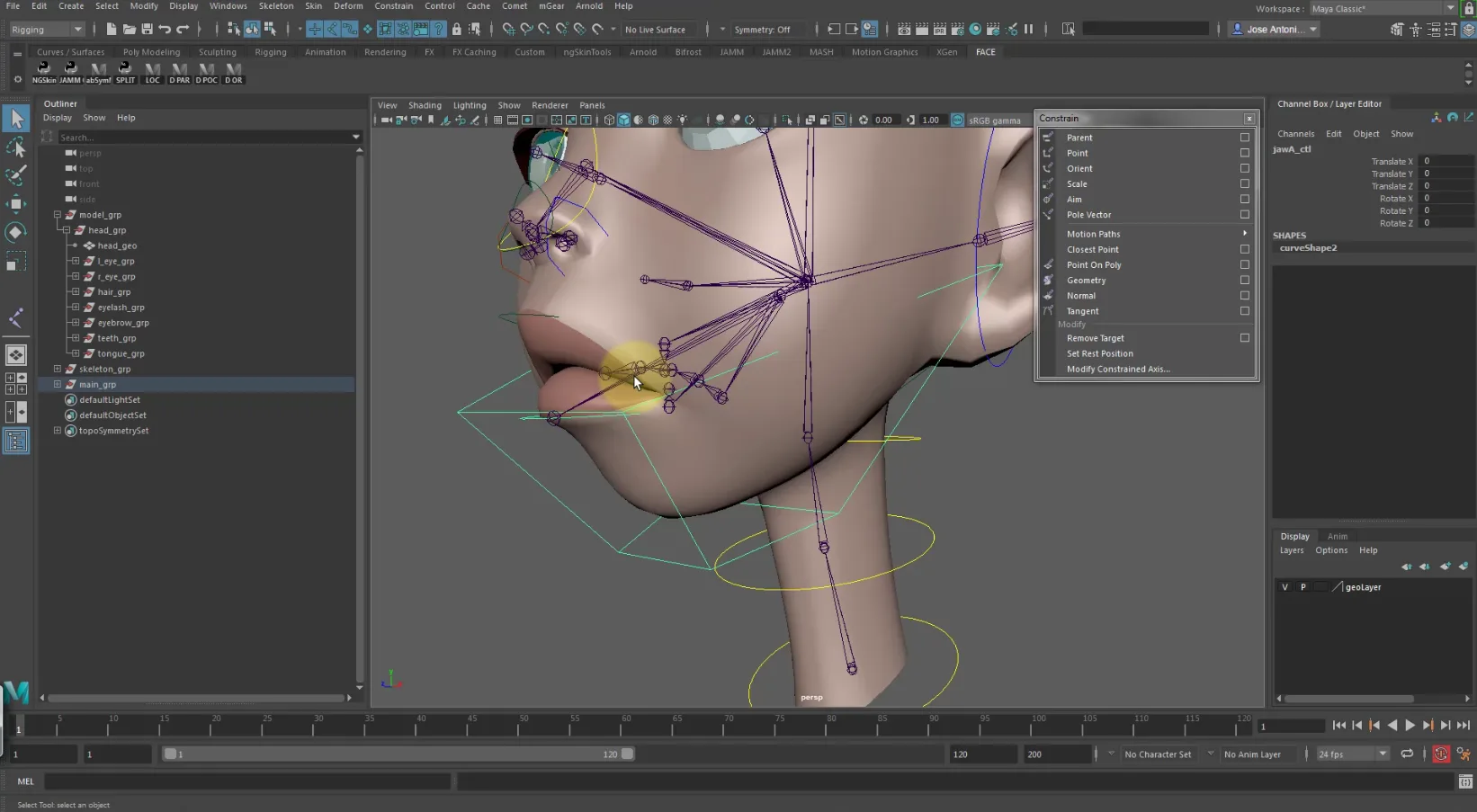 Character Facial Rigging for Production - A former CGMA 8-weeks course