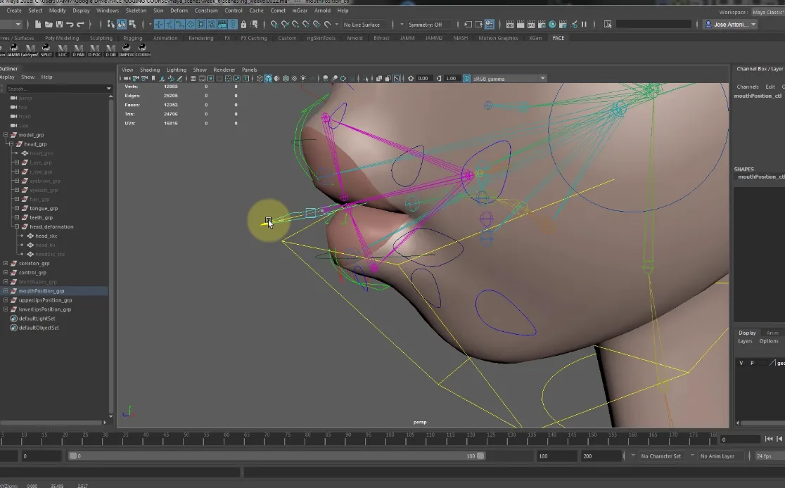 Character Facial Rigging for Production - A former CGMA 8-weeks course