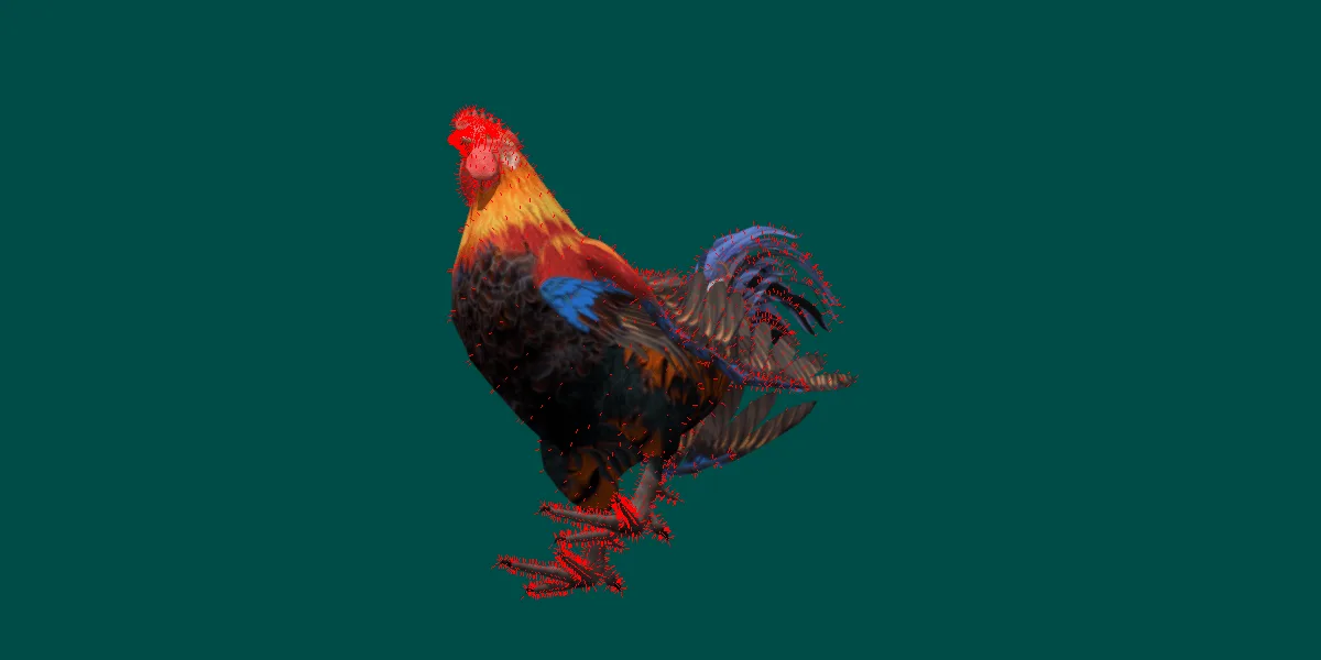 Rooster